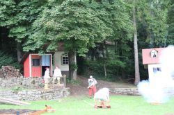 PetterssonFindus09